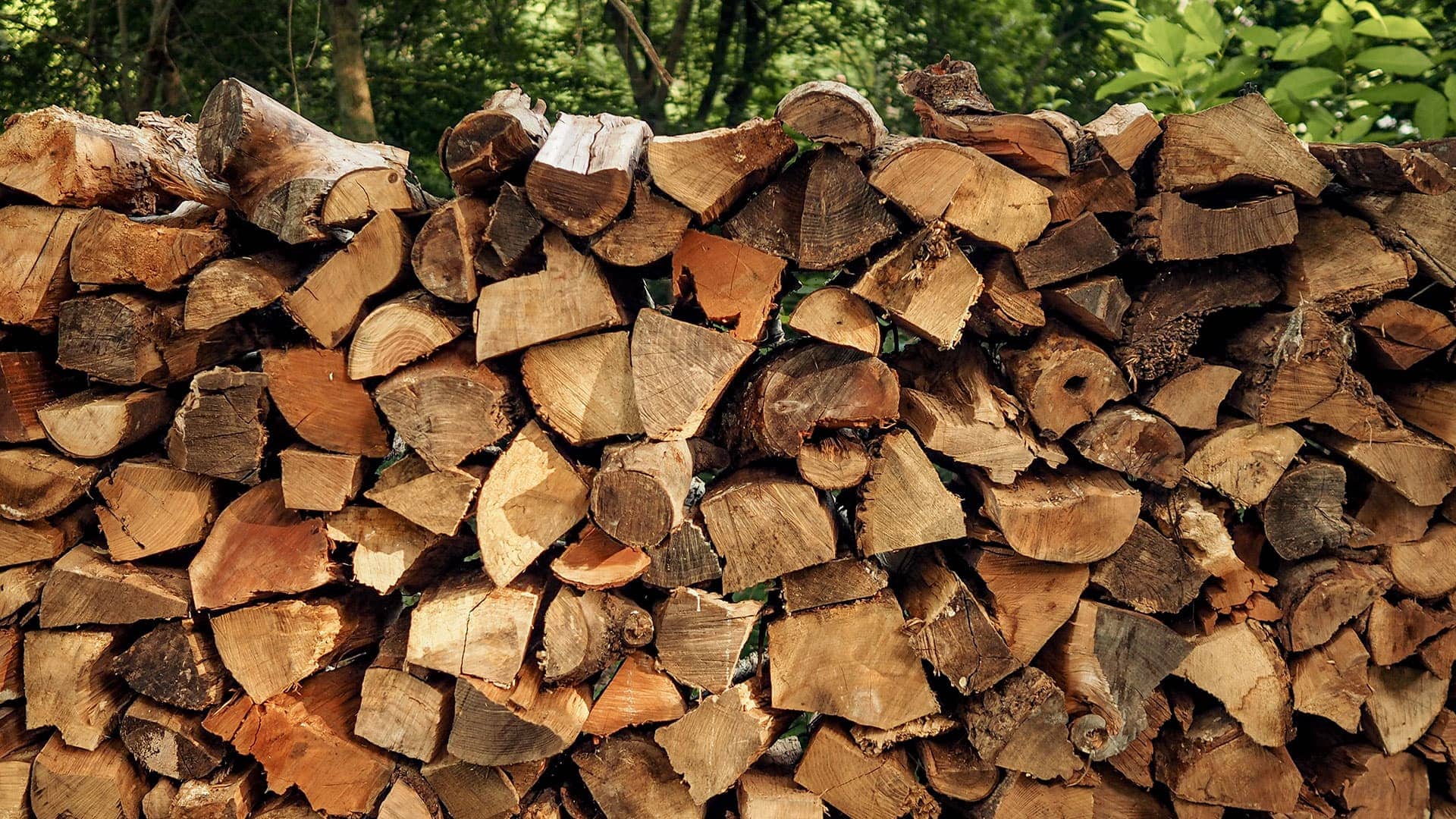 Bonfire Bundle - Oak Firewood - Image 8